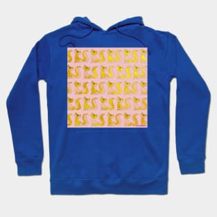 Golden fox ecopop pattern Hoodie